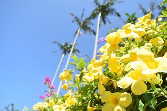 Southeast Botanical Garden